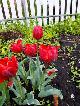 c8789d23fed5b754014161495d24ab1c18bq4oryhmbqdfej3