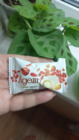 caae1a9682fd0647d075eac88aa71d872flixtlrvnmgpc2hmi