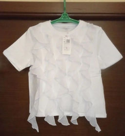 cbe7563783e0c454e35f941c429e07fa6ce3qnx5mmomuql8