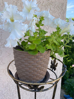 cdb04d6a491eb07a6914415b9331de87imwz6kxlkilzmd9