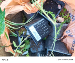 d0a4250a40f8569da0d29ddc4bce9bfa18bq41aywjmd7kigv8