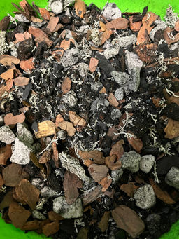 d0b033a4461e61e4546cace1a2dd520c7xbass1ndsrm7pqqjq