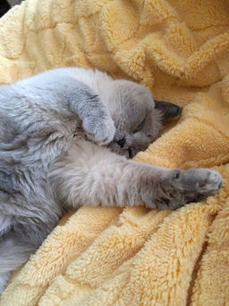 d23ecb7857117ce1991164d3568b5bf96ce3h2t2mkjte18a