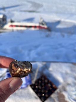 d32aeaab098bb51b01e2c93879a6a8ce6ce3h2s0mkrzfcr2