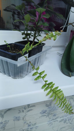 d716bf0d21ec5cf81c8cc551715790c86ce318zkbmn7oyogy