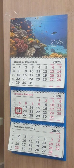 d77d023e3895b31e315f8db5d05049b56ce3h2sumkof10if