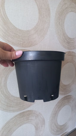 d784766c5af7fe74ab8e0bea69b281ae18bq41392dmcqhoj2x