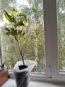 d9e939d426ea120722d70353c1f1560418bq42fd7nmc99bd59