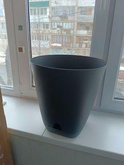 daa523db1571939a54d6692a6f7706706ce3qnxtmm62l65v