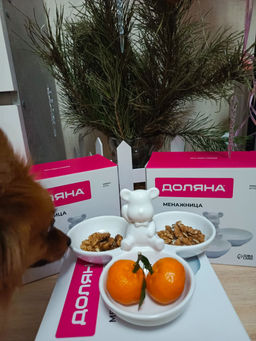 daeda5af184613855fe51d57a78ccc476ce338amikdvwx1