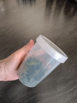 db326fefe710931056875589bd7d0c6e6ce3qnxtmmstvztf