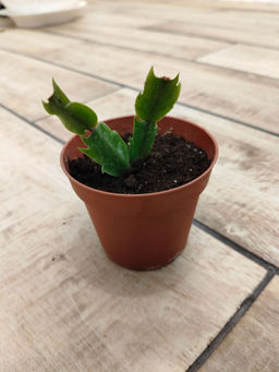 db9fd10cc2001abee8e8ef20d3ac76636ce3h2siml0witsj