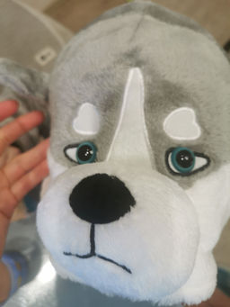 dc4479c66fe3ca97a2b5fd5c408971eb6ce338amjtm83h9