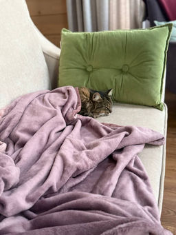 dd473ed264a2c71141a3046a92498ae06ce338amjo4j7lt