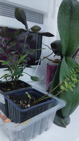 de7975b79dc76b03529ba05be38b77e66ce318zkzmn7ok4y7