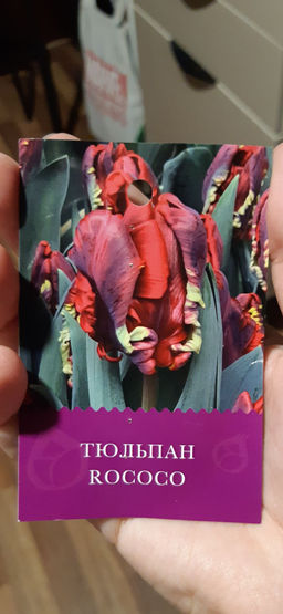 dfa3aea6c37eadc618b70ae72631186918bq4oryhmbqdes32