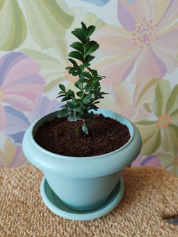 e06b52b2ee6885bfde553a456290d2cc679h280ggm261vlyb