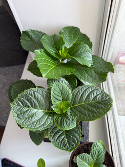 e191b96340585e1090cecea6f92b29cb6ce3qnx5mmuc9oeq