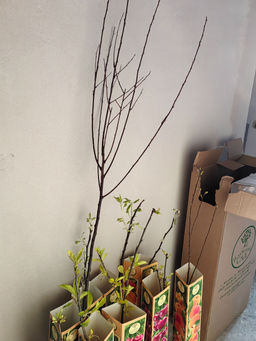 e1b8bd0b98905a17585d19b022d93443u3vnr1euyma3qo60x