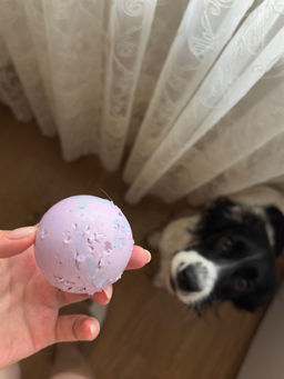 e46fc75dd1379951ffbdc7f7205035032flixt213fumfbjfnt