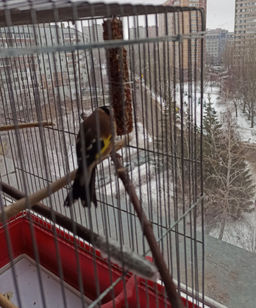 e4d01c52d8b32a53d82c0dfd5e49c036894uh70slqt9lyl2