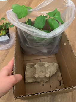 e8dbf4f436b9d57068c922d549616af745gfo94glwjfnfyv