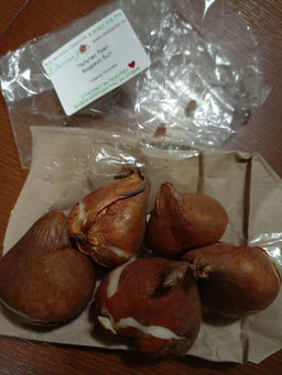 ebb4a0a8250ee8ac12a8c41aca5e40d42flixtovl3mggp9utm