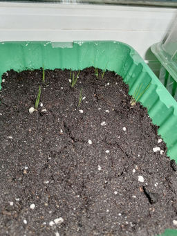 ebf7ff534d3f78e0fecd0f2dff720bedimwcp0nlqf5f1px