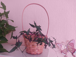 eda0e3fe2d4dee98ffdb5ffa1acea9bf2flixt2758gmhhqnrx