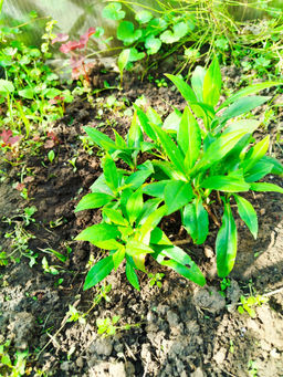 f177c632ce5d4cd8d8e550fa9c6622b018bq4nqq8mc9f7cni