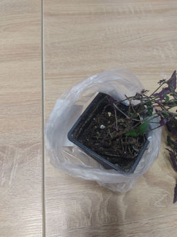 f1b675061afa1bc825cc8a6f20ba03302flixt23ephmhhpyxw