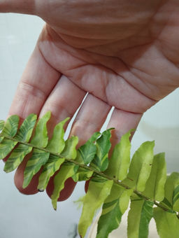 f3effd995963d7467998c54038ebfb516ce338amit3ctw3