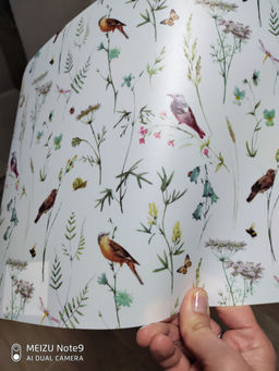 f43f5ec39d079149b31ff068a65e9c3b6ce338amirjdw6v