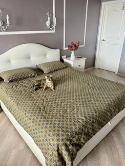 f4bdf90d59aff084fe3b5fc8b89fb71d6ce3qnx5mn3eyf37