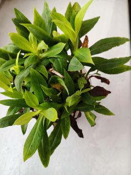 f5303f6089d421faa4ef73fcd7a07d7818bq41uewumbf7uuqb