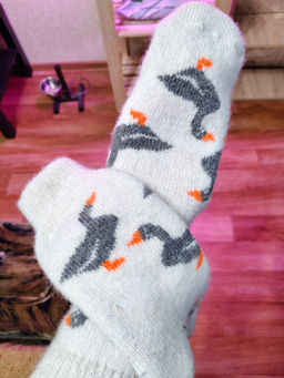 f5f0c9867a42228bdad804e65f497aee6ce3qnxsmlrov3vg