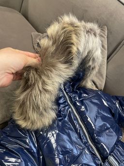 f61bdc1972b583c08b8a79a5a043f1d71j787v1rb7rl9rj1js