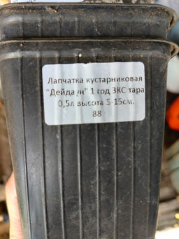 f7b7c0f7597b0bd9f40ef3e115a692a818bq41qlvgmcki8vdu