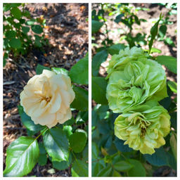 fa32aefb53d37a8d4f3e0cf4664015c818bq418t51mdar3dpu