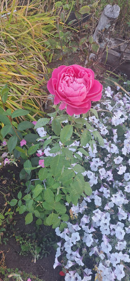 fa8b60a8ad5aa6817ac2ddd4f015ec0a6ce3qnx5mltajjk5