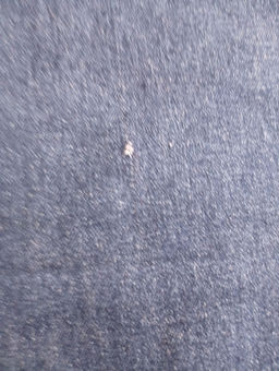 fb0205f150a33b2a0e52546bfc8228b37xbass1zz06m7n8wtq