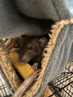 fc3cb5925add1dae88f06b4e321e92366ce3h2suml0eiwuw