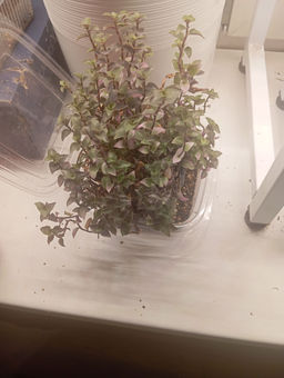 fd2aaaff51b02d5c8a038615663e66b36ce3qnx5mlsufee1