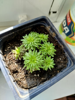 fdca0458703fa5db0d891fe57abd282du3vnr1ajmecp12zs